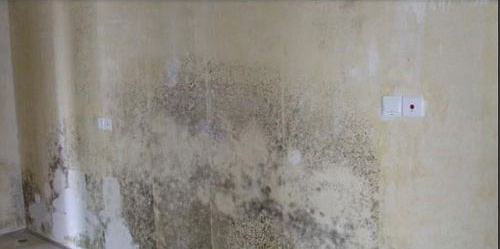 清洁有道之刷漆墙面篇