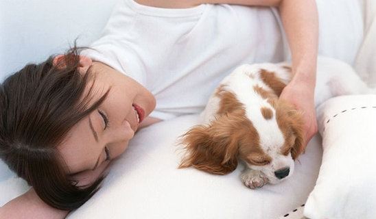 即使睡在床上 这六个问题依然会影响你的健康 即使睡在床上 这六个问题依然会影响你的健康