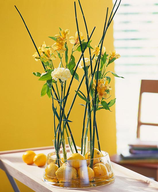 家居风水禁忌多 植物也有空间讲究