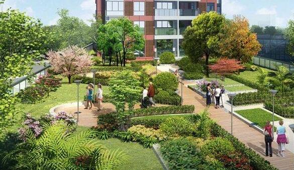 让人无法抗拒的空中花园 满满的惊艳